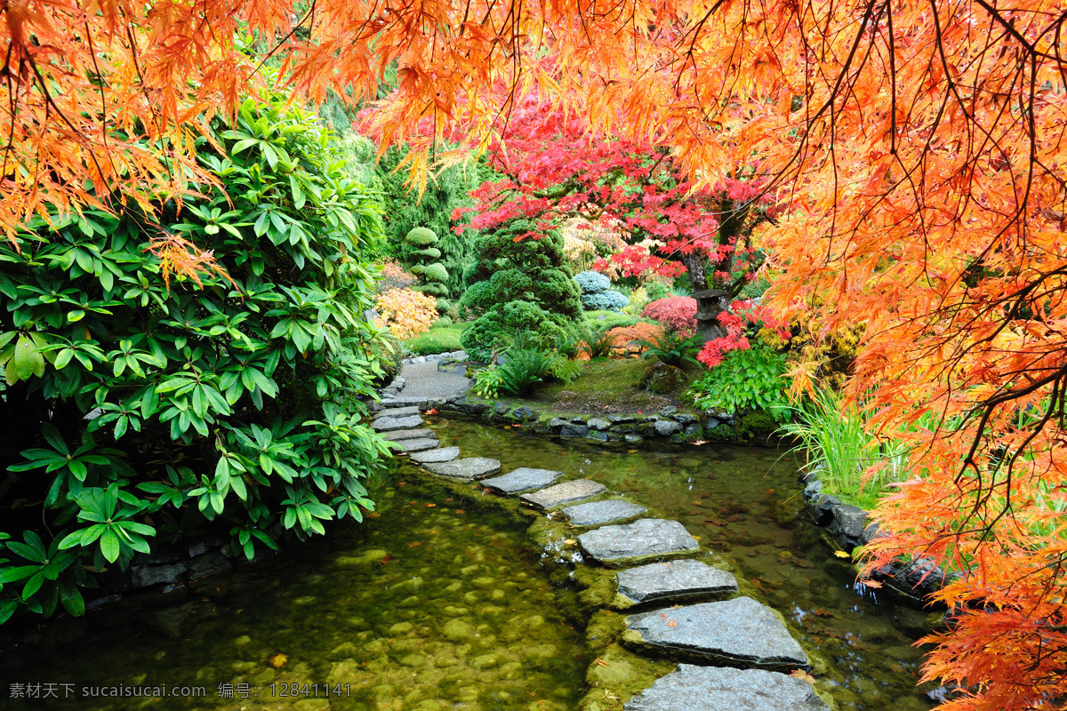 秋天 日本 公园 风景 枫树林 秋天风景 秋季美景 日本公园 美丽风景 风景摄影 自然风光 美景 美丽景色 自然风景 自然景观 黑色