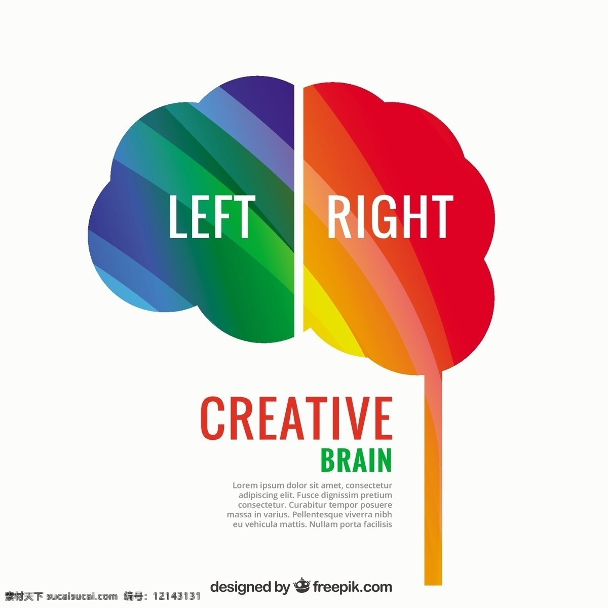 创造性的大脑 脑 模板 丰富多彩 创意 创造力 权 色 半球 lef 白色