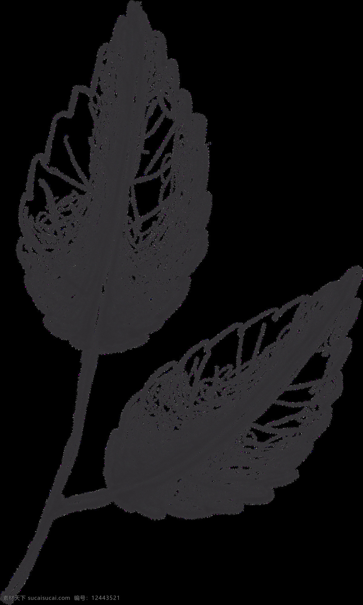 玫瑰花 素 叶片 描绘 画 绘画 速写 素描 黑白 创意 精美 植物 花瓣 花朵 背景图案 树枝 花骨朵 文化艺术 绘画书法
