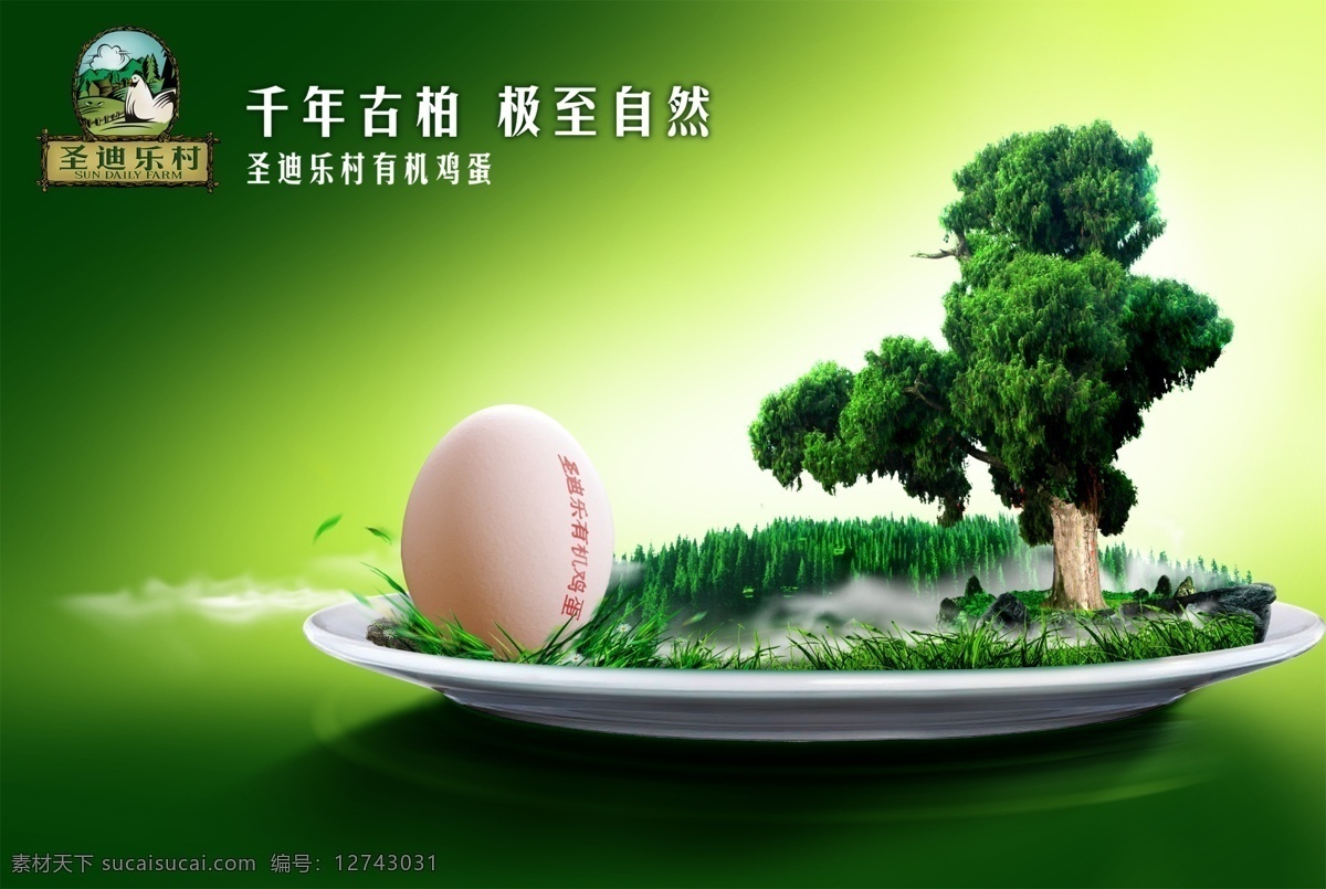 有机 鸡蛋 宣传海报 psd素材 绿色背景 盘子 树木 有机食品 有机鸡蛋 宣传单 彩页 dm