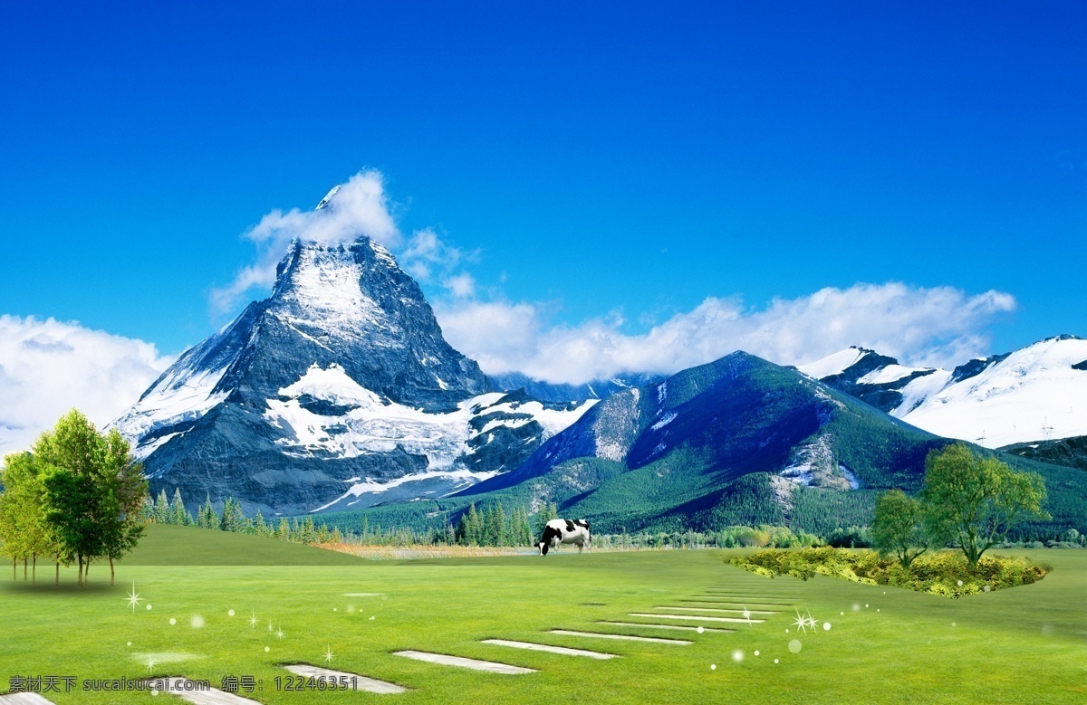 雪山 草地 美丽 风景 树木 奶牛 星光效果 鲜花 蓝天 白云