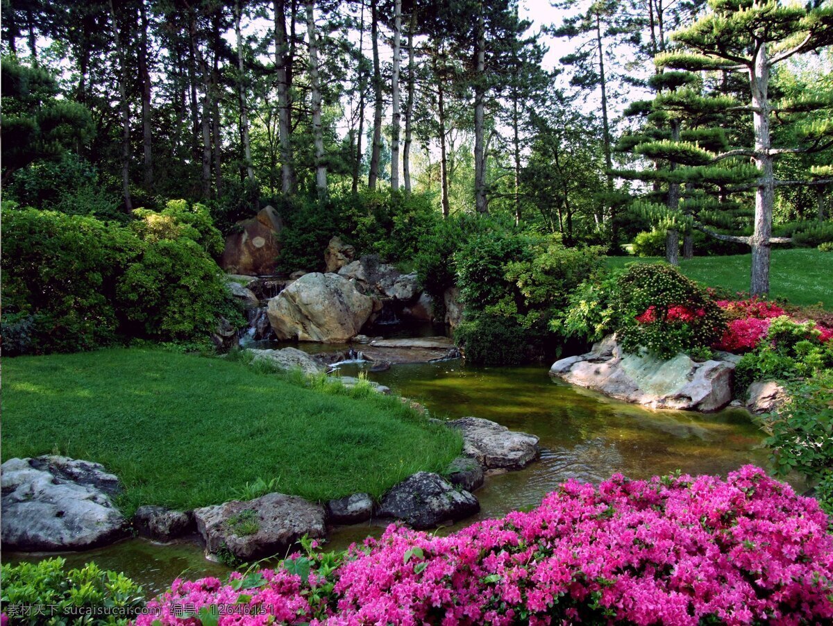 漂亮 花园 美景 漂亮的花园 私家花园 私密花园 秘密花园 园林 园艺 花卉栽植 苗圃 美景摄影 建筑园林