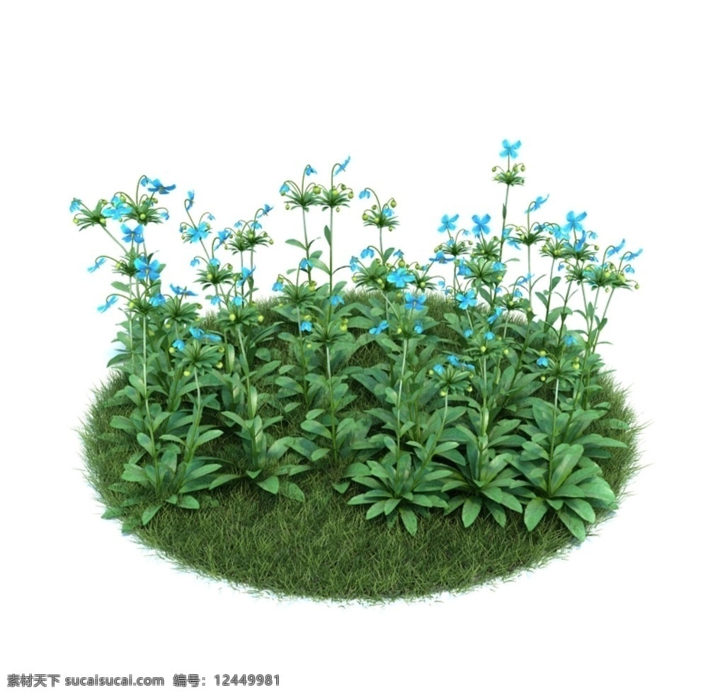 花模型 植物模型 树木 绿色植物 景观植物 观赏 vray模型 室内模型 3d设计 max