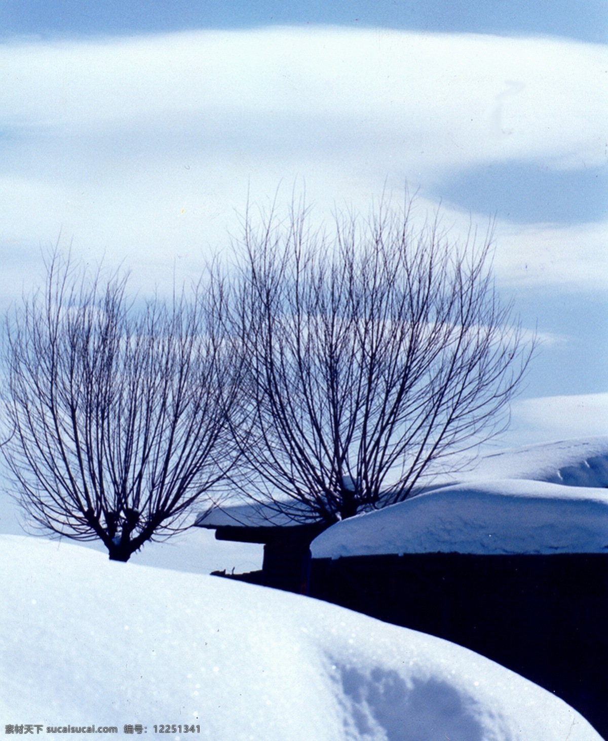 银白 雪地 树 超大 春夏秋冬 风景 高清 摄影图 唯美 自然 自然景观 生活 旅游餐饮