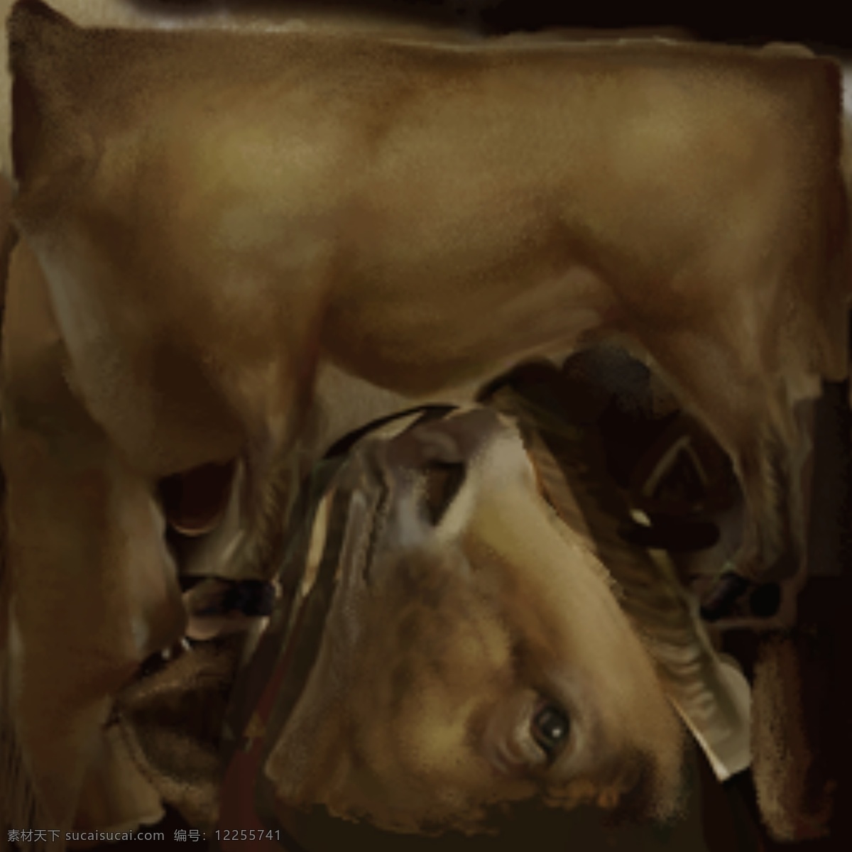 黄牛 动物 模型 带 贴图 白底 图 牛 max 写实