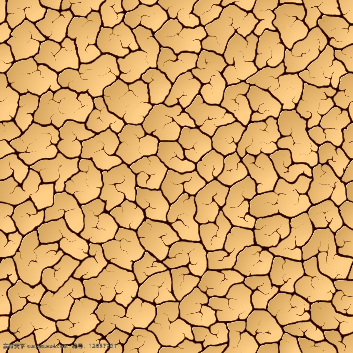 干燥 地面 模式 黄色