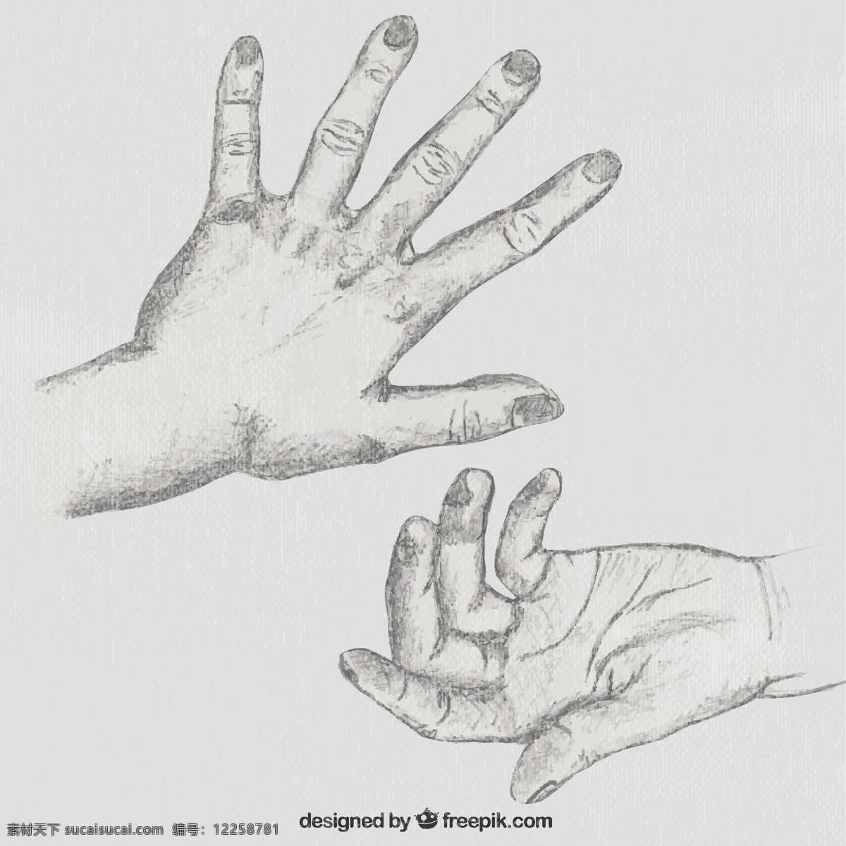 手绘 人 手 铅笔 素描 绘画 手掌 指甲 人体 手画 拇指 解剖学 画 铅笔画 手指 皱纹 灰色