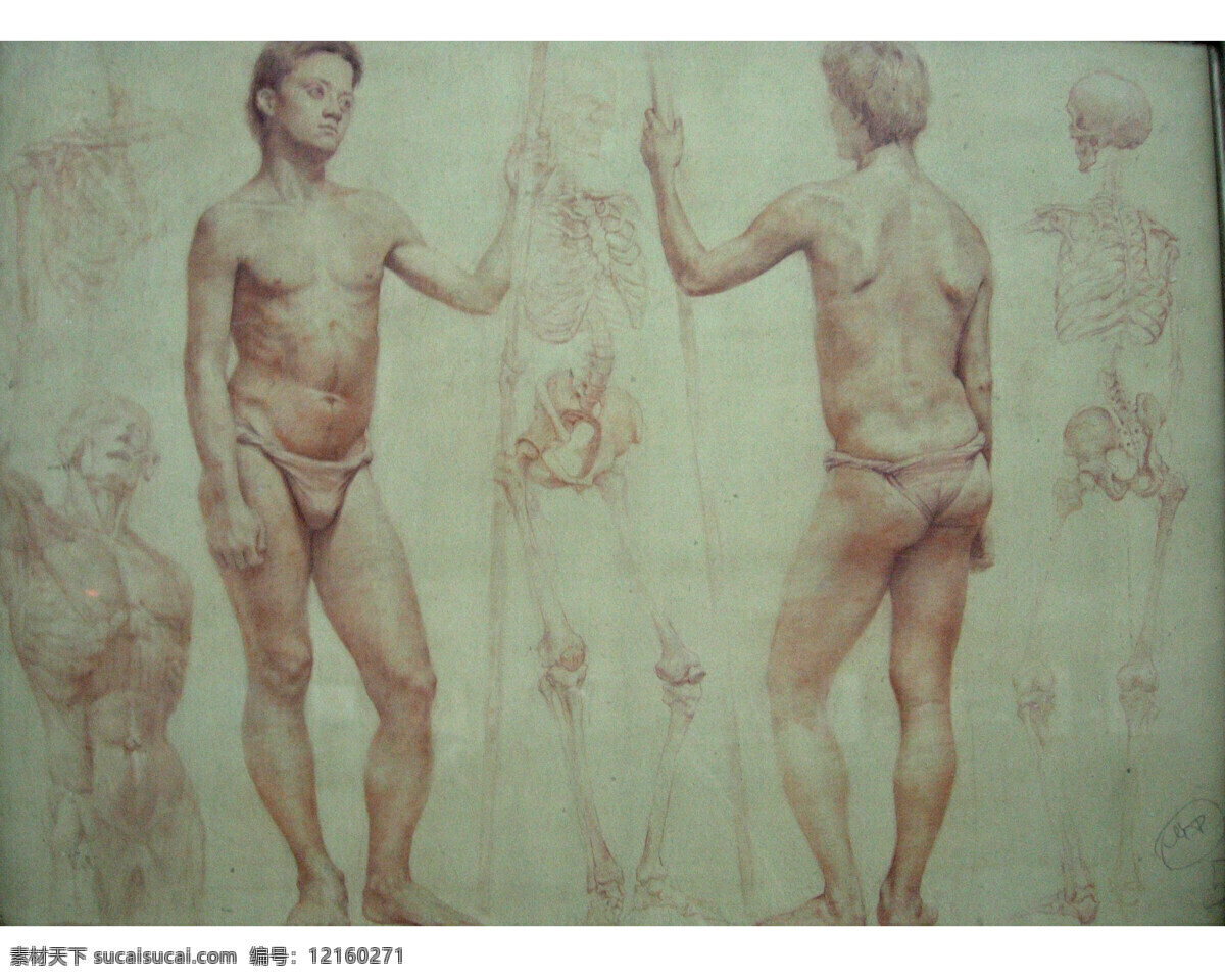 俄罗斯 素描 少年 人体 美术 美术作品集 艺术 文艺作品 绘画书法 文化艺术
