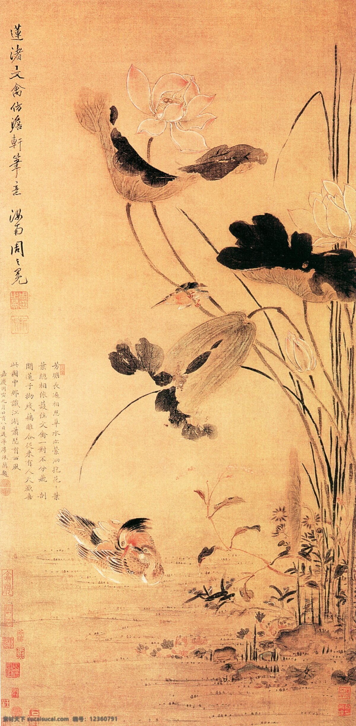 鸳鸯 荷花 古典 古画 国画 绘画 水墨 中国画 鸳鸯荷花 中华传世国画 中国画艺 文化艺术