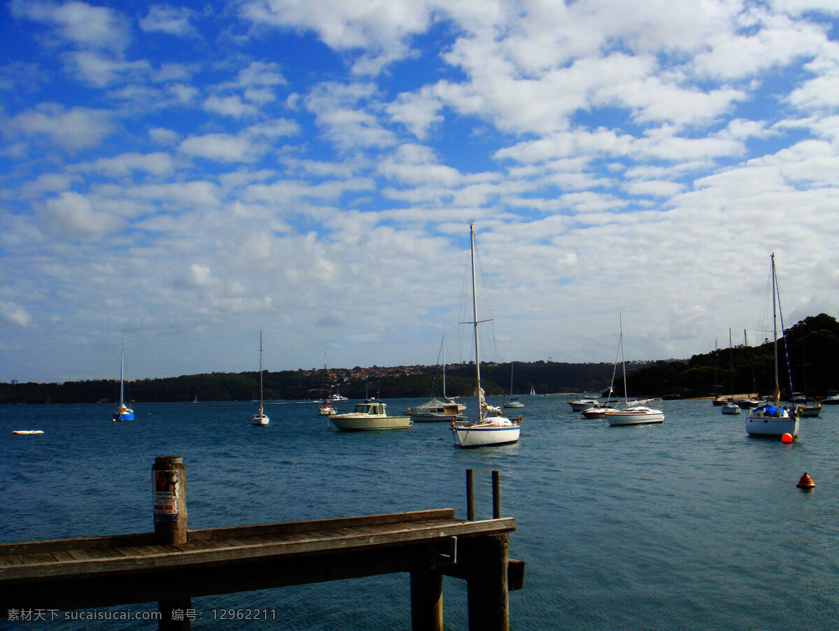 澳大利亚 白云 船舶 港湾 国外旅游 海湾 蓝色 蓝天 悉尼湾 游艇 悉尼湾的游艇 停泊 游船 桅杆 轮船 旅游摄影 风景 生活 旅游餐饮