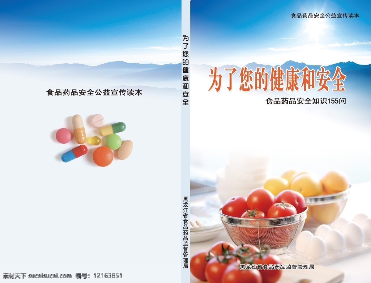 药品封面 模版下载 书籍封面 食品安全 食品 食品素材 书封 手册 水果 画册设计 广告设计模板 源文件