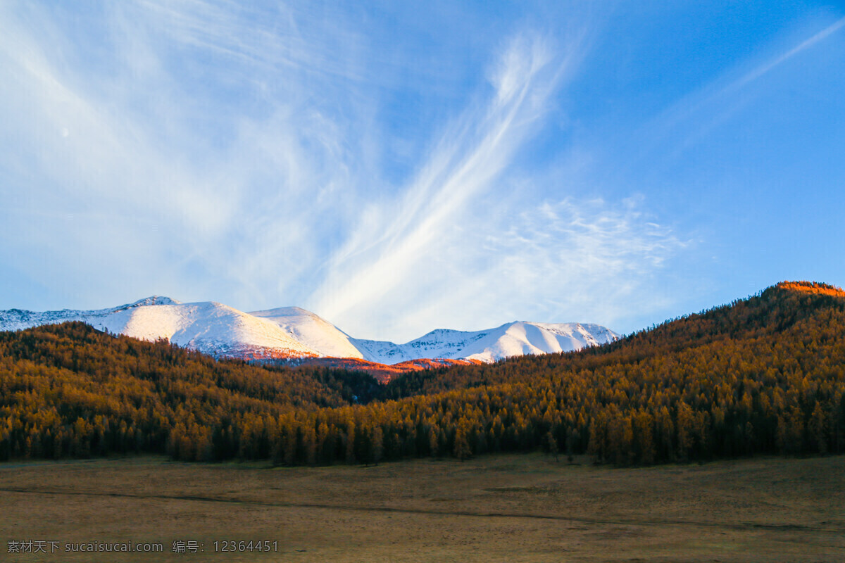 秋日喀纳斯 中国 新疆 喀纳斯 喀纳斯湖 秋天 清晨 阿勒泰 风景区 自然风景 喀纳斯风光 美景 摄影图片 彩色图片 树 旅游摄影 国内旅游