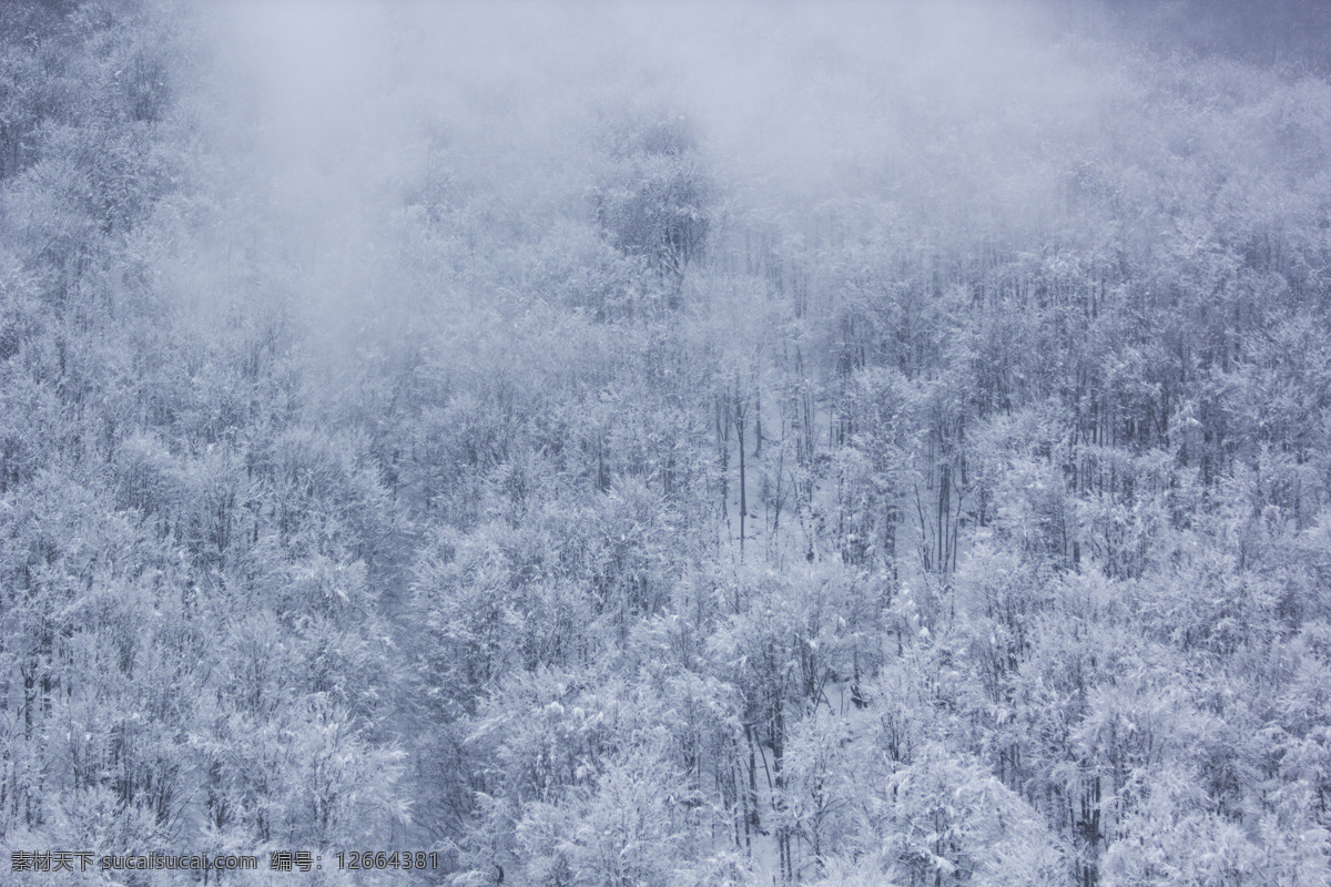 冬天 霜降图片 霜降 霜 雪 冬至 自然照片 自然景观 山水风景