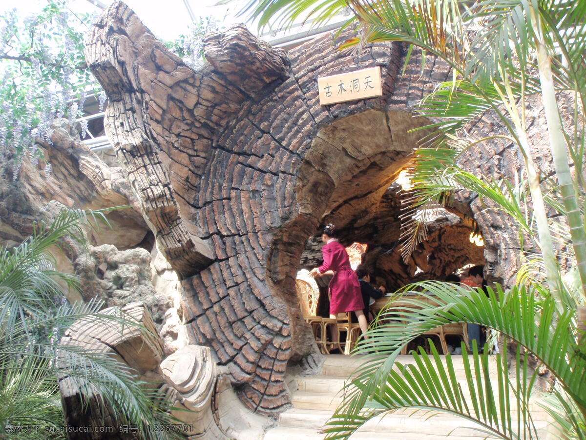 生态酒店内部 洞穴 生态酒店 生态园林 假山奇石 花藤树木 景色 摄影图片 旅游摄影 国内旅游