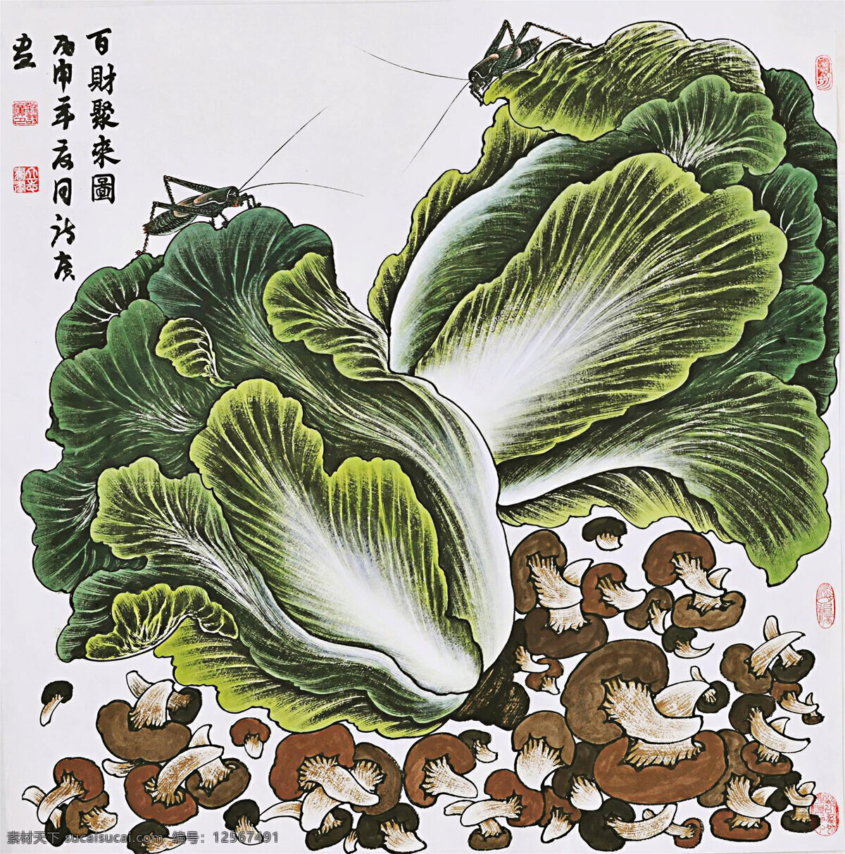 国画白菜 国画 水墨 白菜 花卉 植物 文化艺术 绘画书法