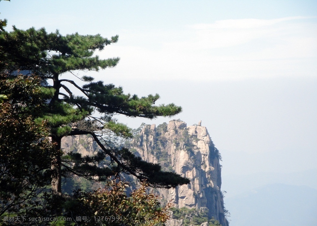 黄山 黄山风景 迎客松 绿树 蓝天 白云 雾 风景名胜 自然景观 国内旅游 旅游摄影 安徽黄山风景