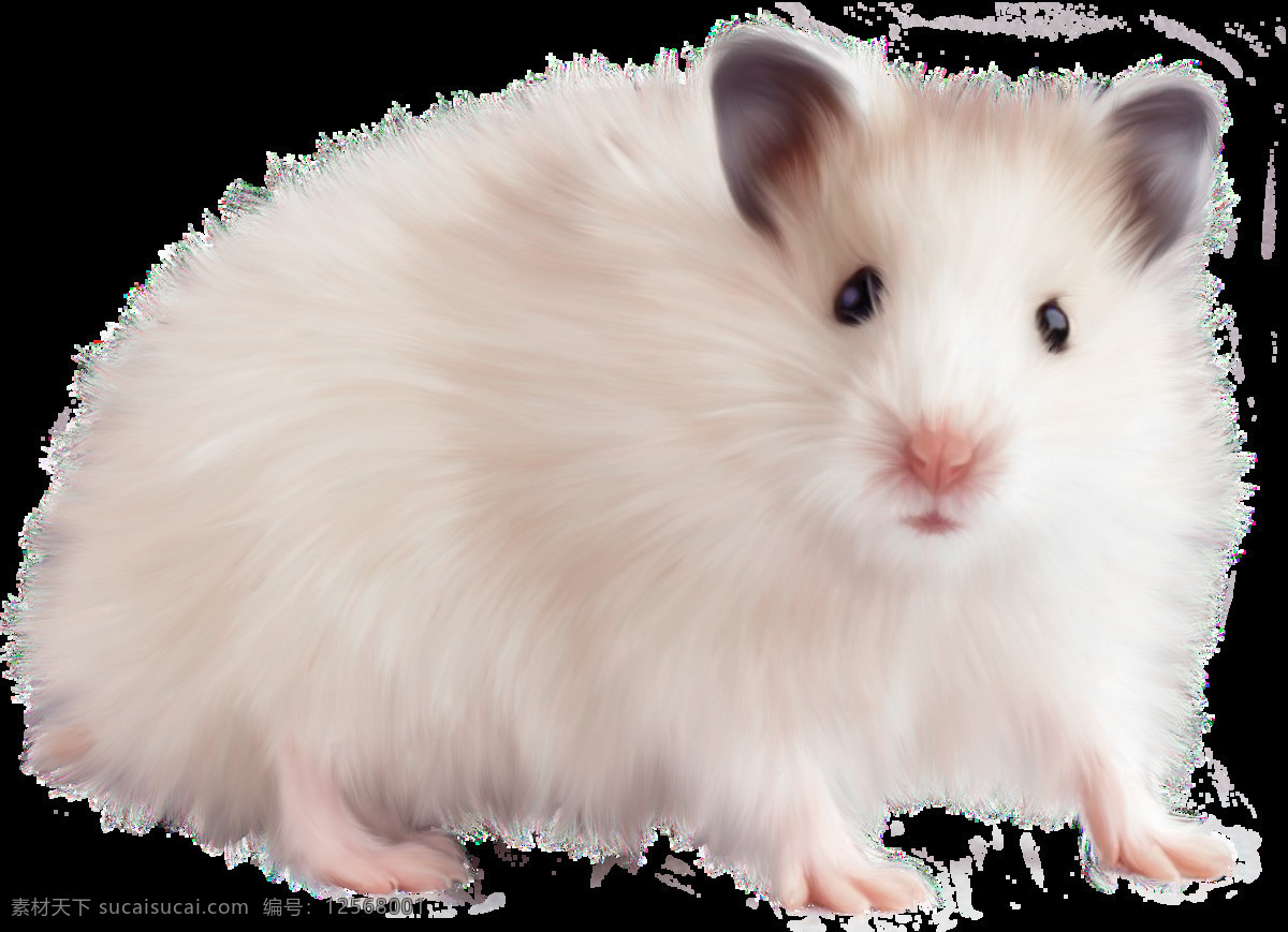 可爱 老鼠 免 抠 透明 图 层 白色 日本 核辐射 变异 世界上的老鼠 巨型老鼠 可爱老鼠 简 笔画 大全 老鼠简笔画 彩色老鼠图片 老鼠图片大全 老鼠照片