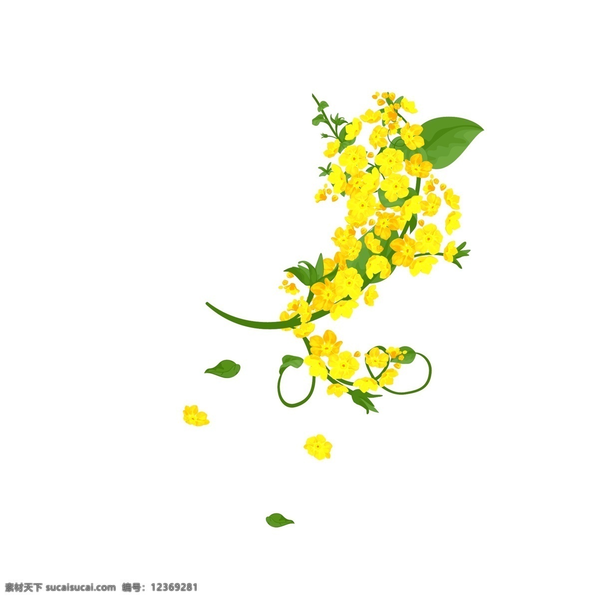 手绘 风水 彩 写实 花卉 商用 植物 花朵 黄色花朵 手绘风