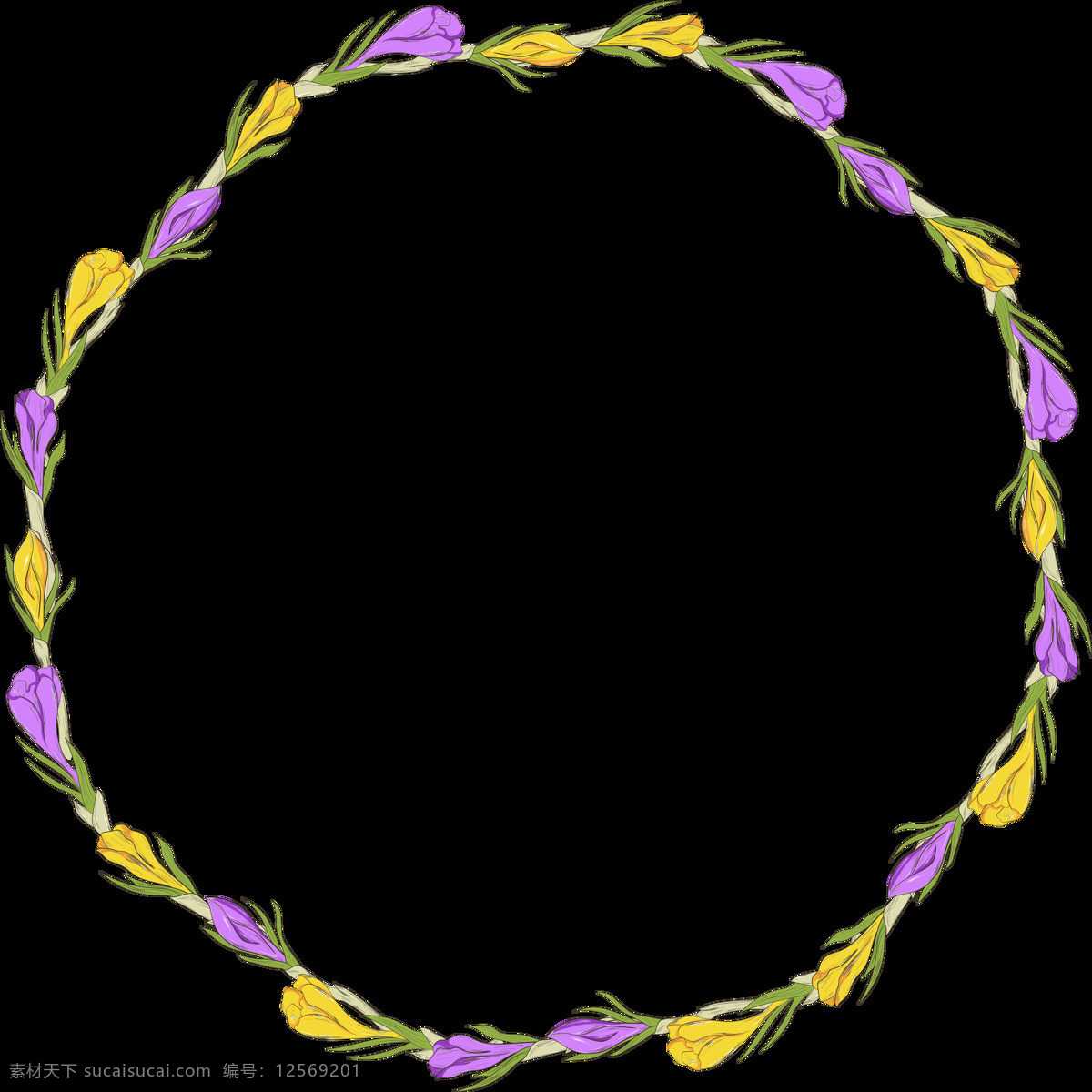 紫 黄花 朵 双色 花环 透明 花朵 花藤 花枝 黄色 平面素材 设计素材 矢量素材 紫色