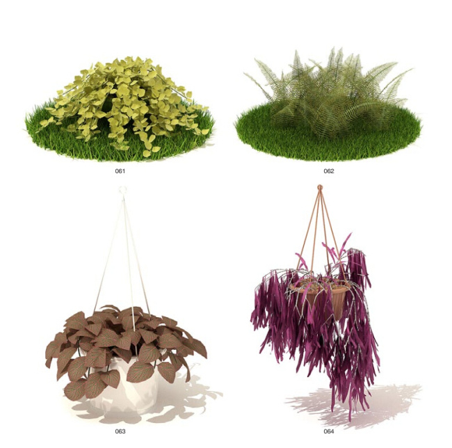 吊篮 植物 模型 3d模型素材 动植物模型