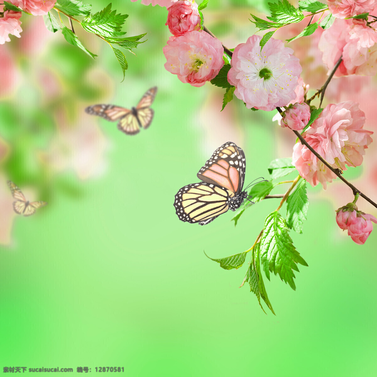 鲜花 蝴蝶 梦幻 背景 素材图片 梦幻背景 花朵 叶子 植物 动物 花草树木 生物世界