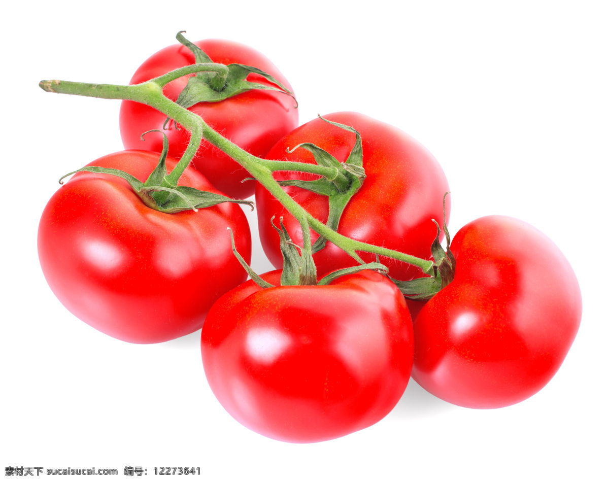 串 番茄 西红柿 新鲜番茄 新鲜蔬菜 蔬菜摄影 蔬菜图片 餐饮美食