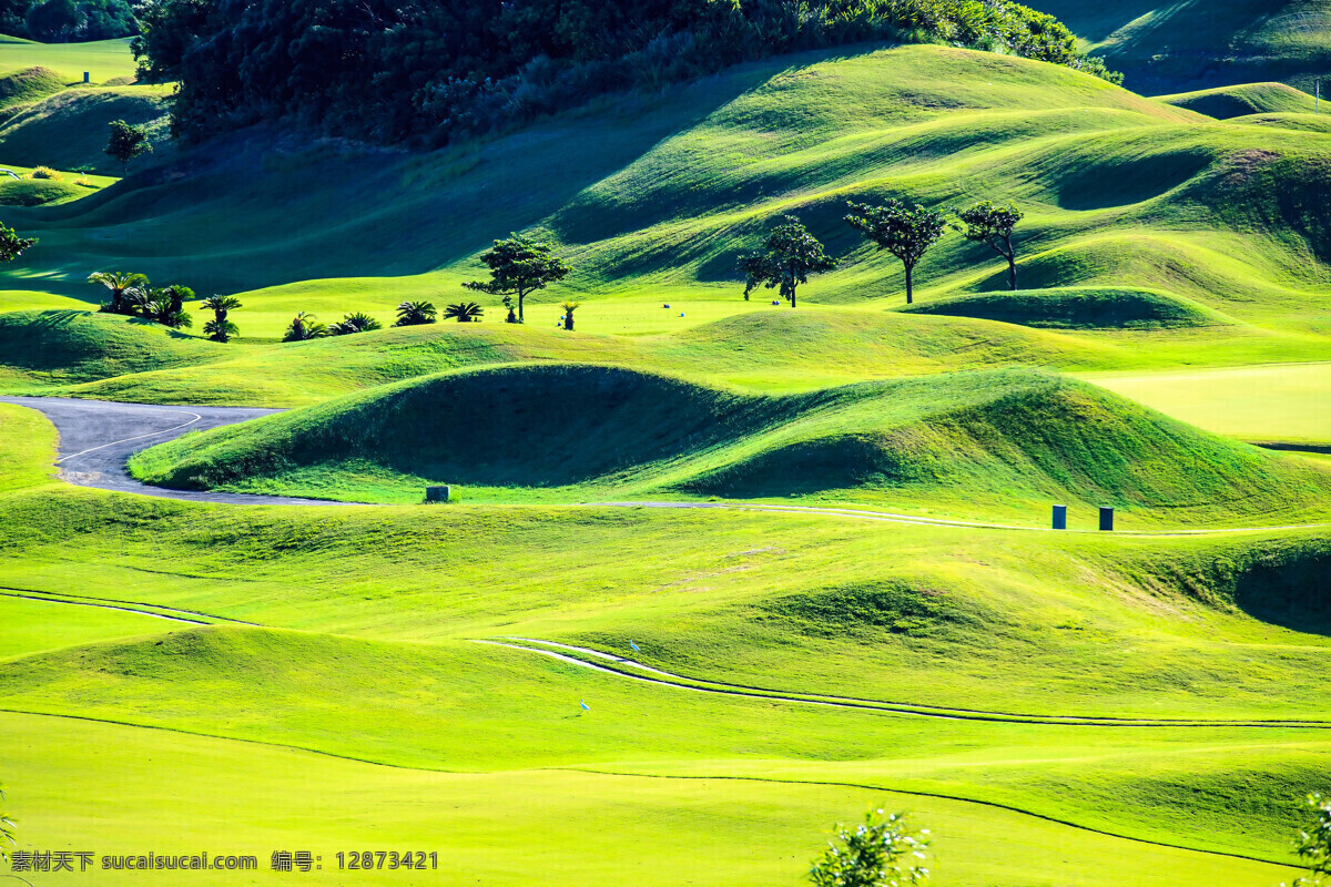美丽 草原 风景摄影 高尔夫球场 草坪 草地 绿地 美丽风景 高尔夫俱乐部 自然风景 自然景观 黄色