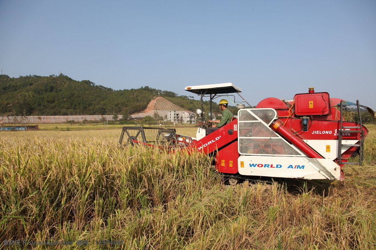 收割机 收获 丰收 水稻 农机 农业 农业生产 现代科技