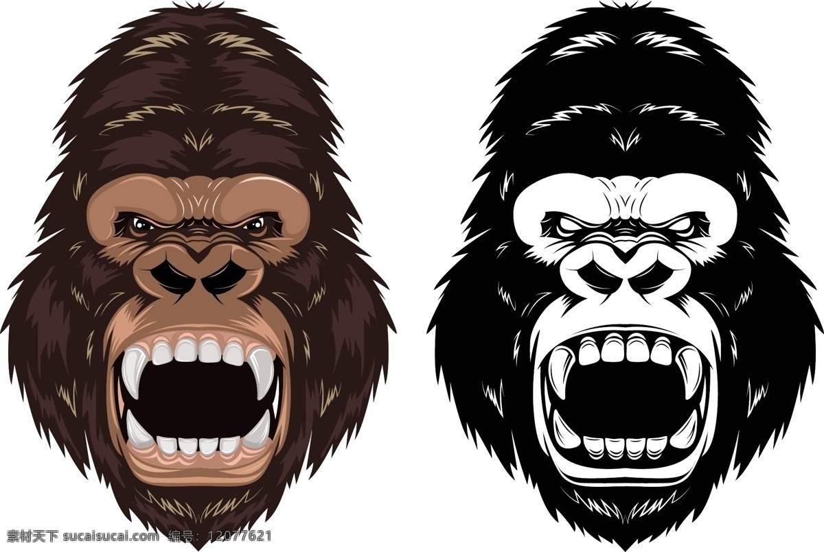 大猩猩 头 矢量 大猩猩头矢量 大猩猩头素材 大猩猩头 大猩猩头剪影 共享设计矢量 生物世界 野生动物