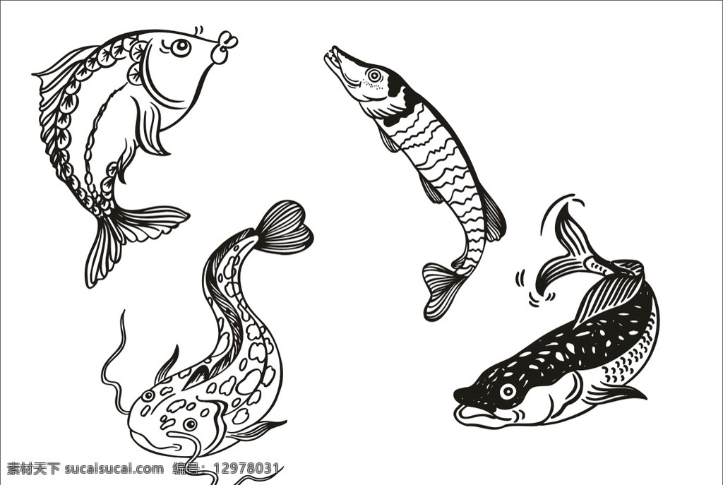 手绘线描鱼 手绘鱼 卡通鱼 线描鱼 动画线描鱼 线描的 动漫动画