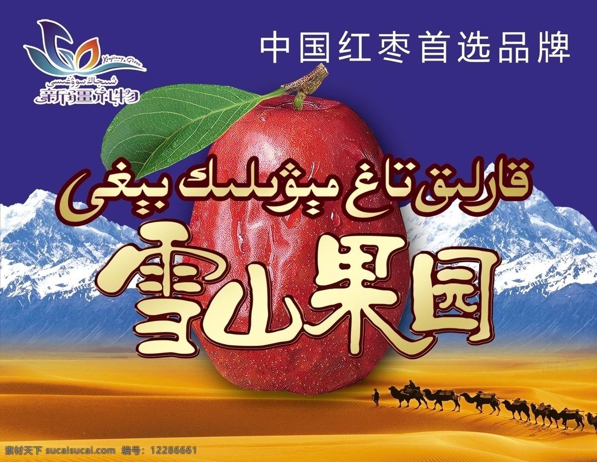 2016 新疆 雪山 果园 红枣 天山 背景 雪山果园 维语 沙漠 新疆礼物 标志 中国红枣 品牌