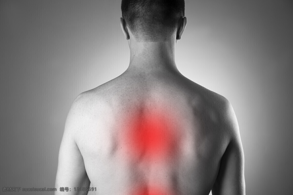 关节 疼痛 男性 高清 背部关节 医疗医学 肩部疼痛 腰疼 劳累过度 关节疼 关节痛 关节炎 人体关节骨骼 人体器官图 人物图片 灰色