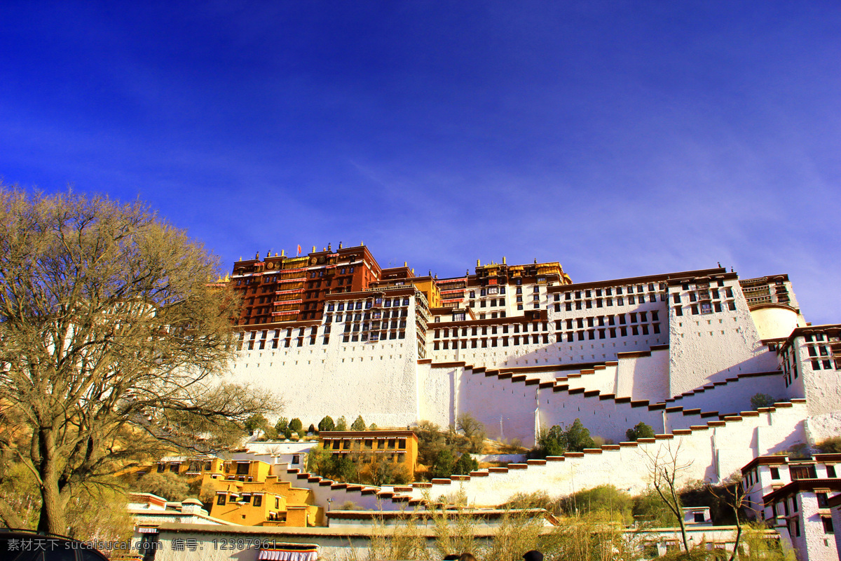 西藏布达拉宫 西藏 布达拉宫 壮美 旅游 风景名胜 蓝天 白云 摄影靓图 自然风景 旅游摄影