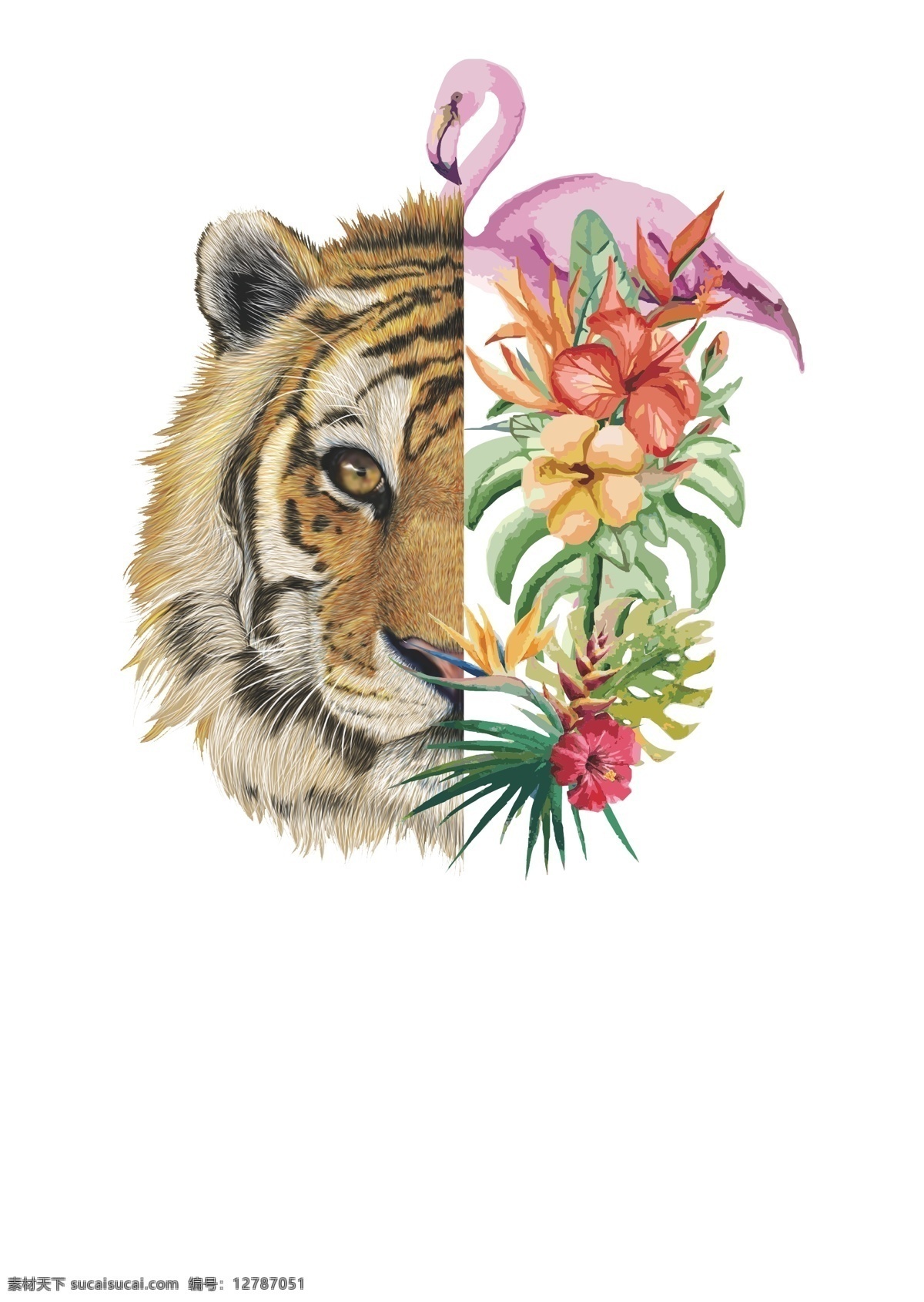 老虎 花卉 装饰设计 元素 对称 不规则 图案 火烈鸟 天堂鸟 植物动物 装饰图案 设计元素 彩铅水彩画