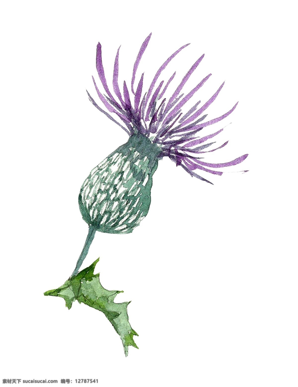姹 紫花 束 源文件 psd源文件 花朵 设计素材 装饰素材 紫色