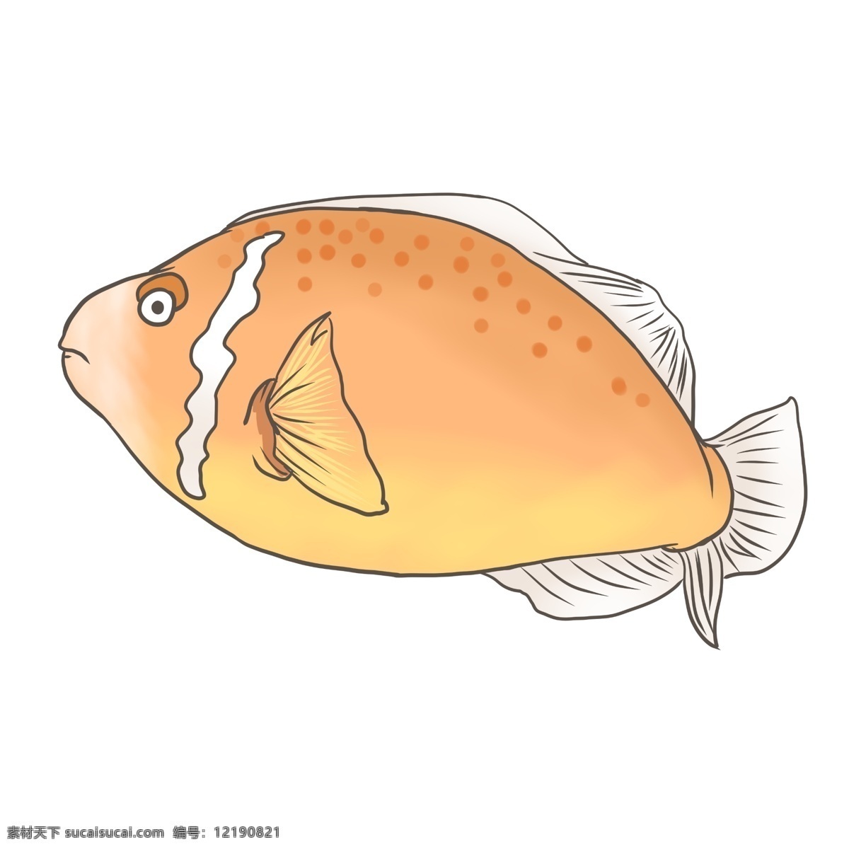 黄色动物鱼类 鱼类 养殖 生物