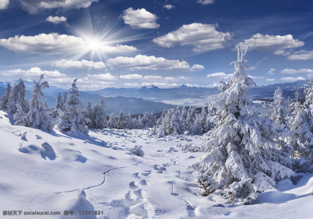 唯美 冬天 雪景 高清 树木 大树 积雪 白雪 蓝天