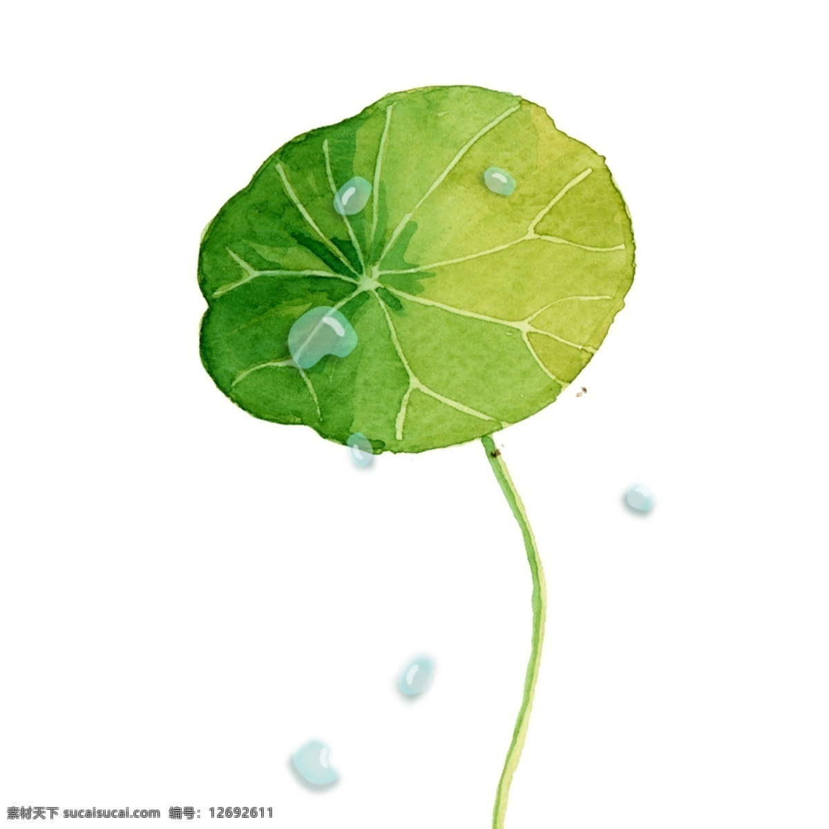 小清 新手 绘 荷叶 水珠 植物 装饰 元素 手绘荷叶 绿色植物 装饰元素 小水珠 小清新叶子