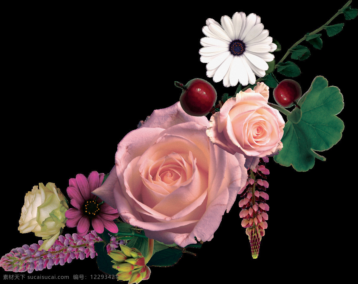 手绘 多种多样 花边 透明 搭配 点缀 粉色 果实 免扣素材 透明素材 装饰图片