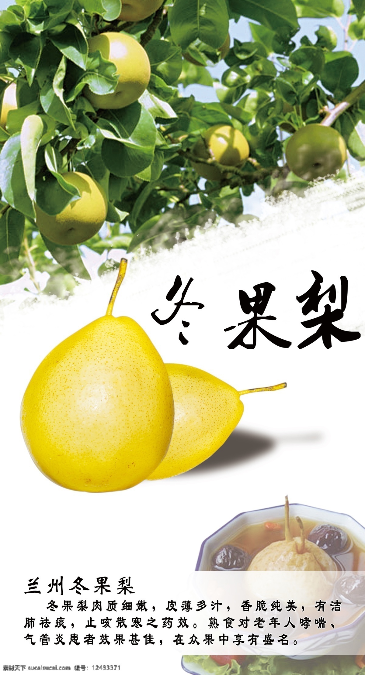 兰州冬果梨展板海报素材图片下载-素材编号12493371-素材天下图库