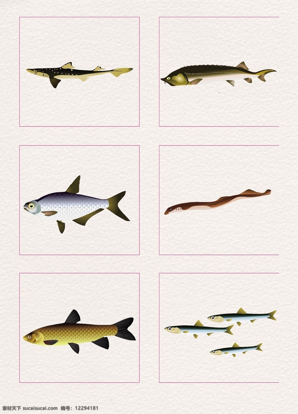 卡通 海洋鱼类 创意 简约 小清新 装饰 图案 鱼类 鱼群 精致 彩色
