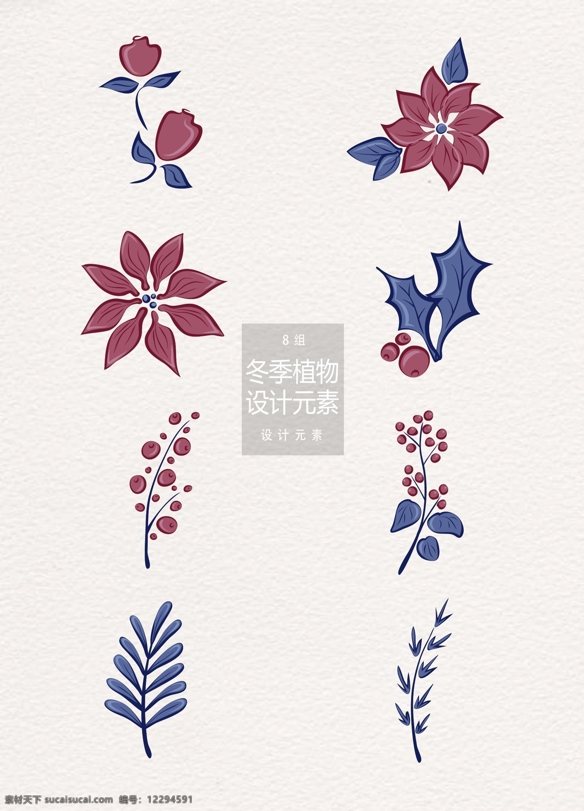 手绘 冬季 圣诞 植物 装饰设计 元素 手绘植物 叶子 手绘叶子 设计元素 圣诞植物 冬季植物