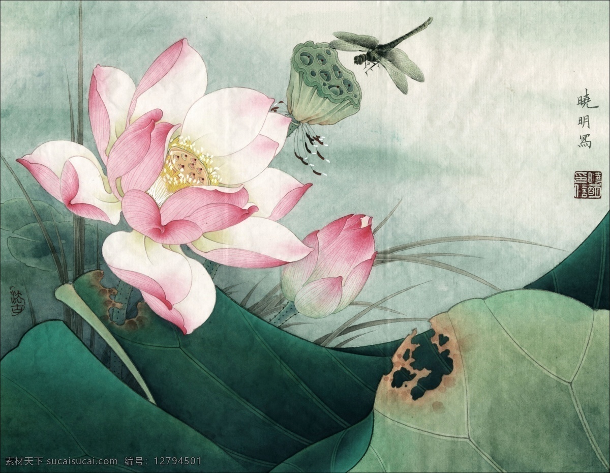 中式 古典 花鸟 工笔画 中国风绘画 精美绘画 植物花鸟 装饰画 古典画 牡丹花朵 绿叶 繁花蝴蝶 荷叶荷花 文化艺术 绘画书法