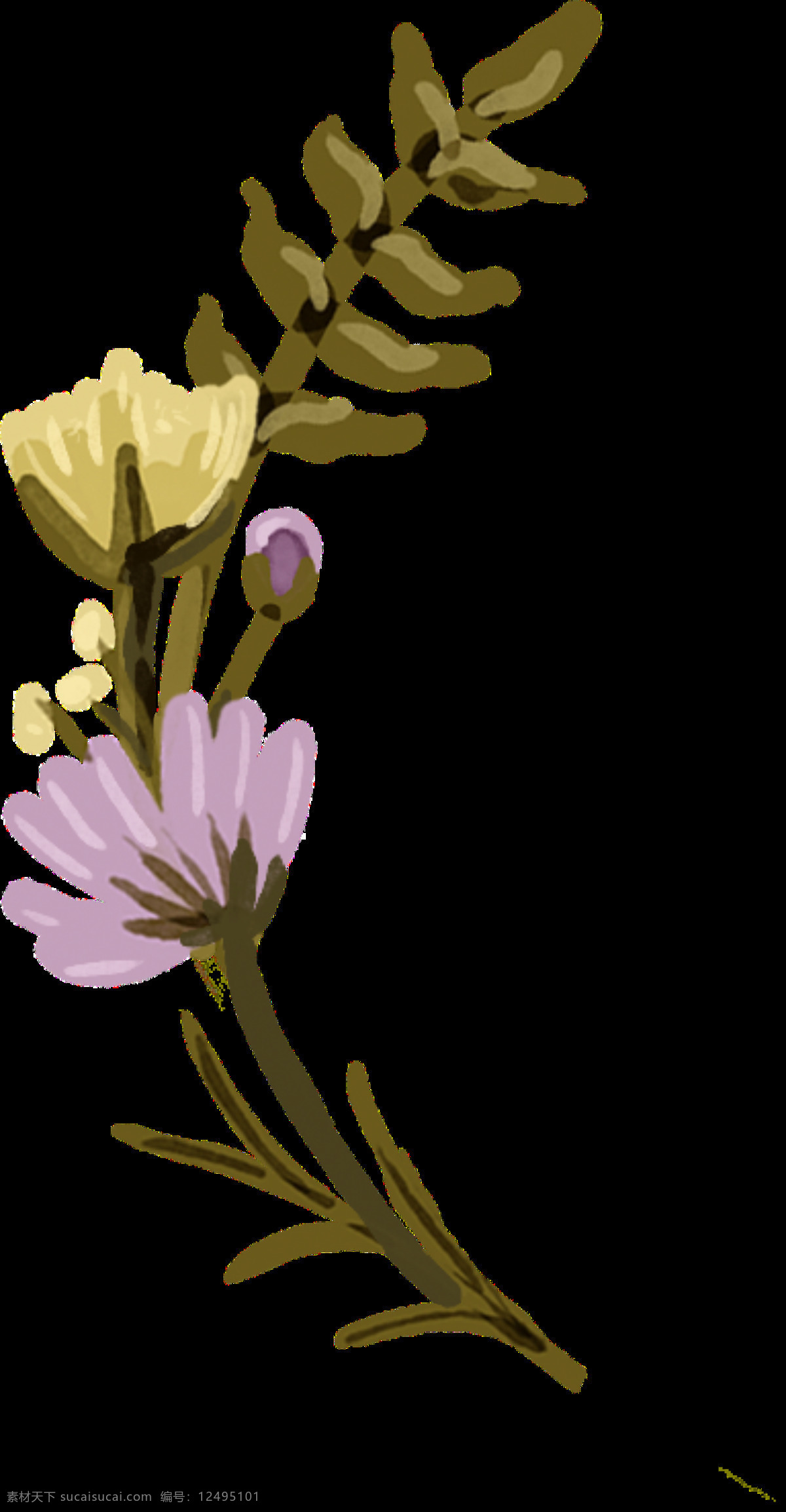 手绘 亭亭玉立 花枝 透明 紫色 花朵 植物 黄色 弯曲 透明素材 免扣素材 装饰图片