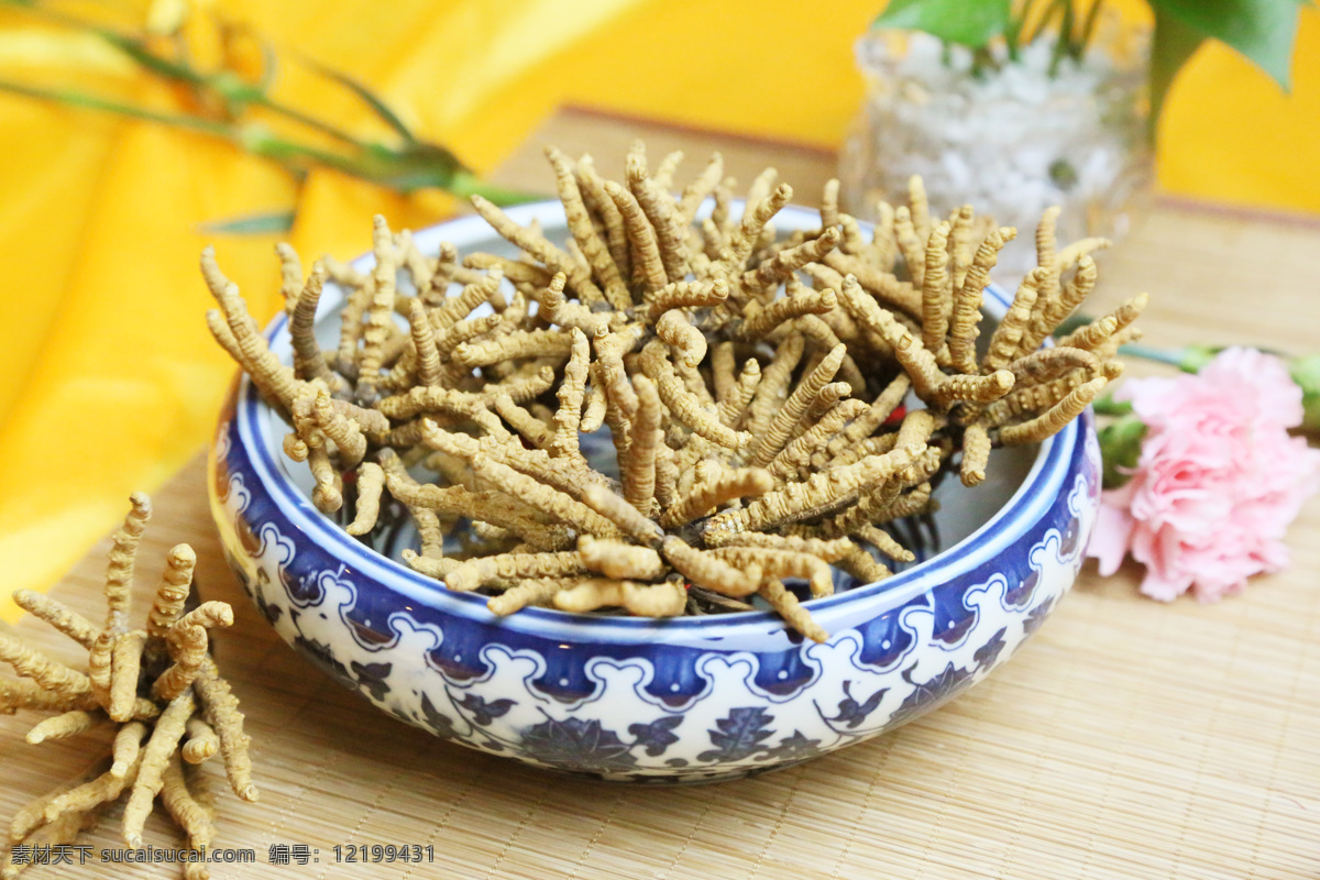 冬虫夏草 虫草 养生 滋补品 药材 美食摄影 餐饮美食 传统美食