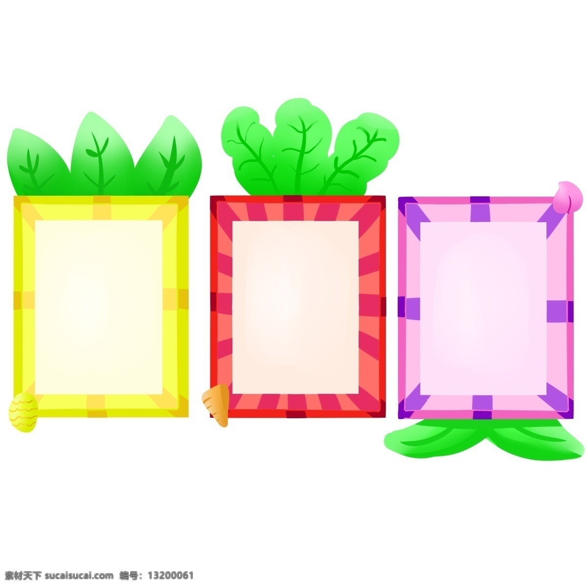 植物 相框 手绘 插画 植物相框 三个相框 漂亮的相框 立体相框 相框装饰 相框插画 可爱的相框 精美相框