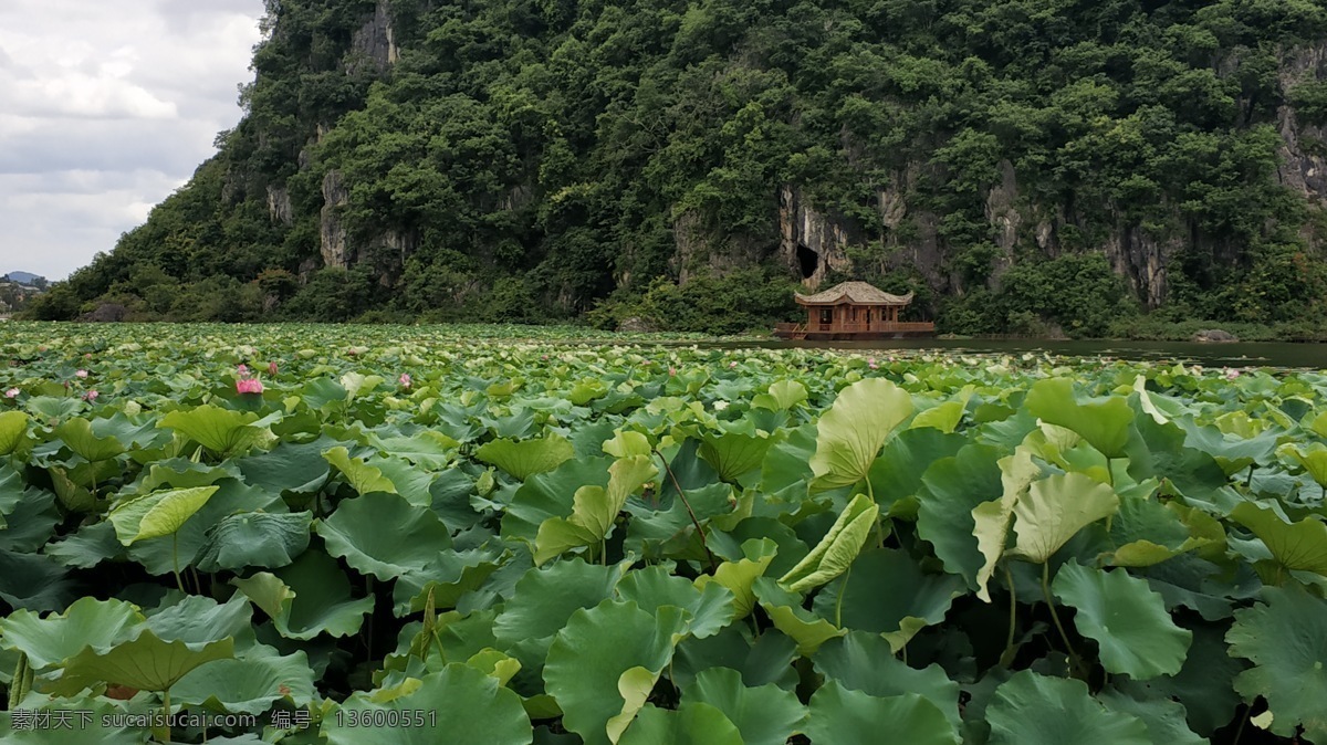 荷塘 彩云之南 普者黑 鱼米之乡 小桥 流水 人家 旅游摄影 国内旅游