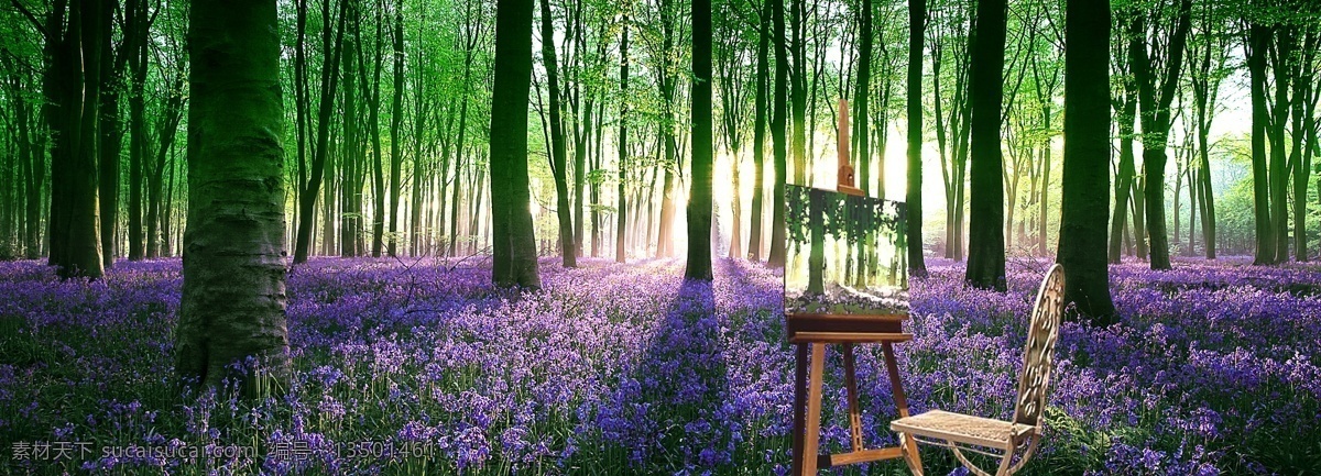 公园 画家 林荫阳光 熏衣草图片 林荫 阳光 熏衣草