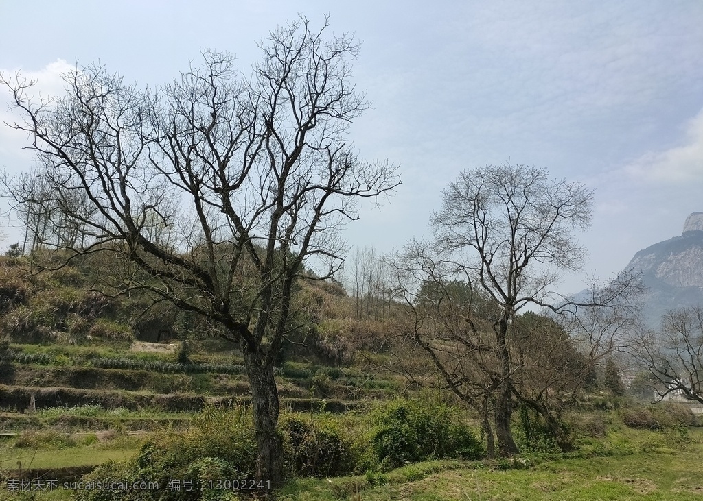 山村 园林 树木 绿色 公园 园艺 自然 草坪 绿化 游乐设施 树叶 湖水 湖面 小憩 景观 凉亭 游乐场 寺庙 生物 叶子 风景 乡村 旅游 山林 旅行 度假 户外 云 美景 建筑 房屋 街道 阳光 城市 蓝色 道路 大厦 桥 自然景观 山水风景