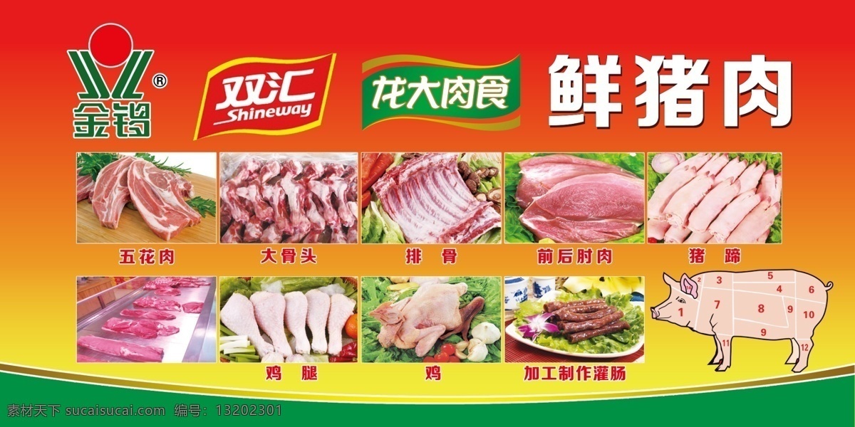 鲜猪肉展板 猪肉 冷鲜肉 金锣 双汇 龙大肉食 五花肉 排骨 大骨头 鸡 鸡腿 猪蹄 前后肘肉 灌肠 腊肠 干肠 猪矢量 猪部位图 展板 黑爪公鸡